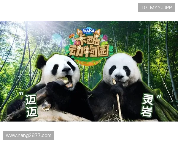 动物十分钟开奖现场直播揭晓